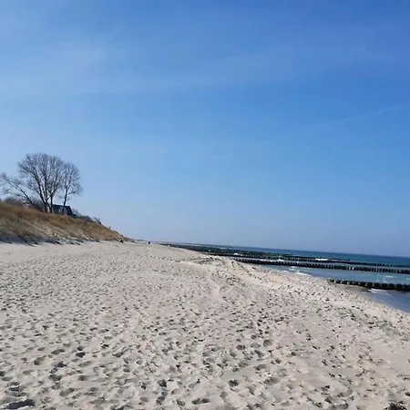 Fewo Muschel Incl Kurkarte Parkplatz Und Strandnah Ahrenshoop Exterior photo