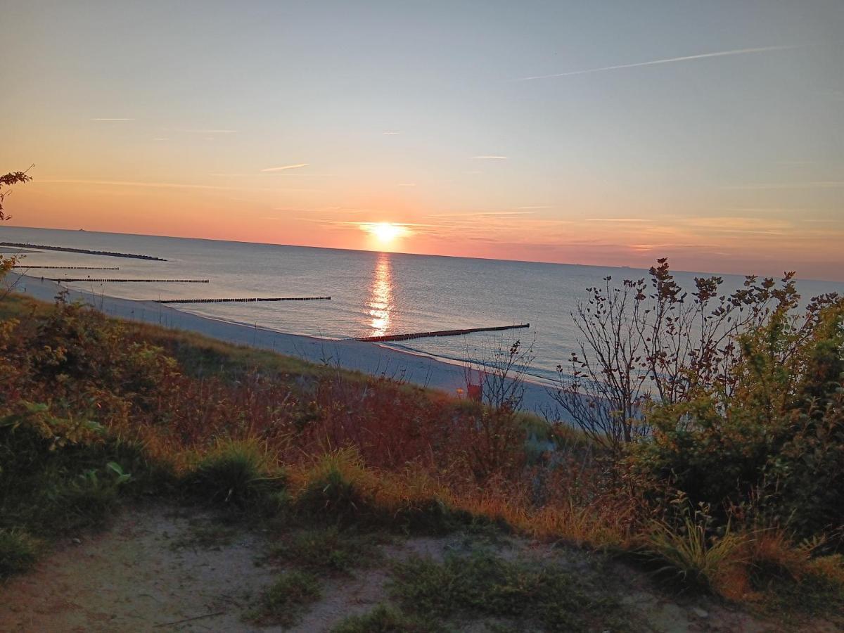Apartment Muschel Incl Kurkarte Parkplatz Und Strandnah