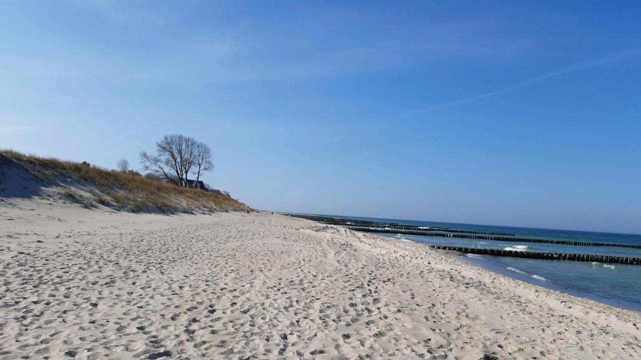 Muschel Incl Kurkarte Parkplatz Und Strandnah *