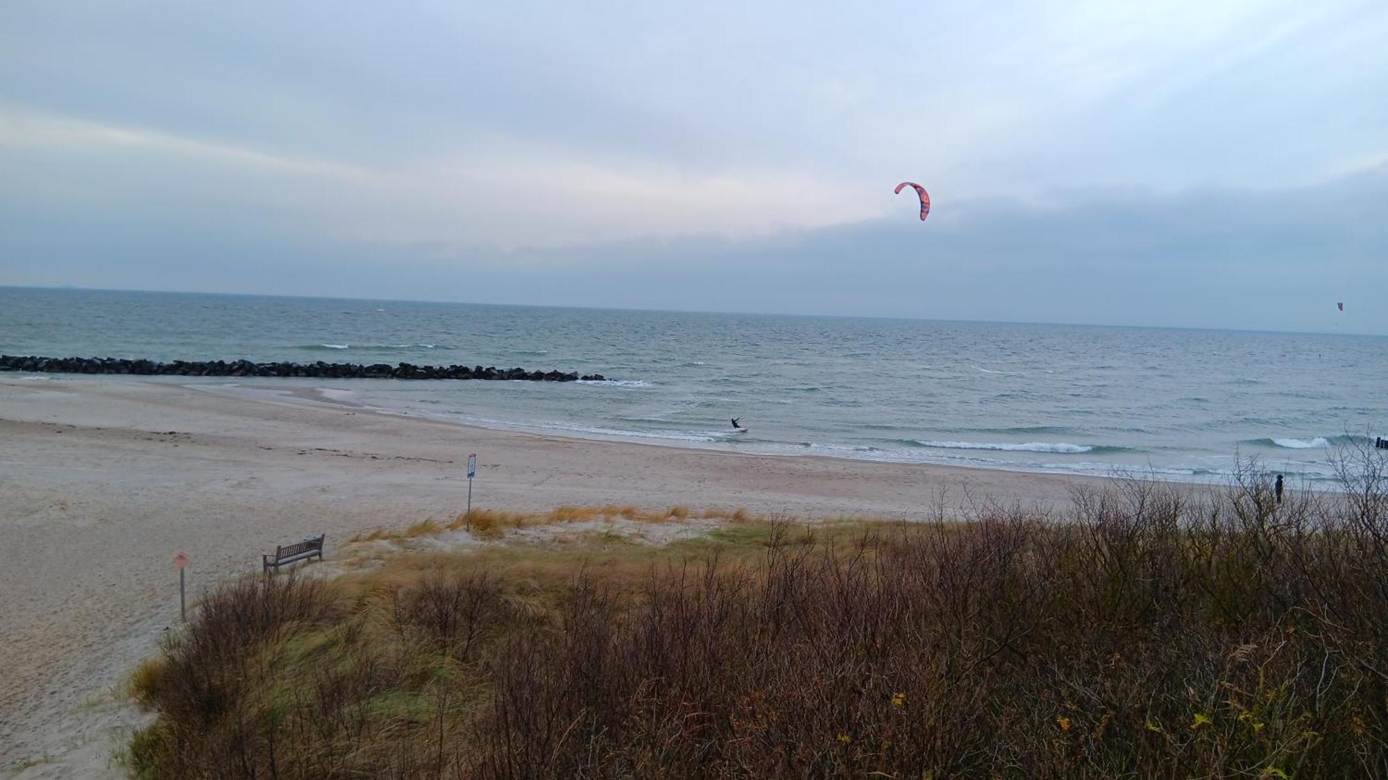 Muschel Incl Kurkarte Parkplatz Und Strandnah * Ahrenshoop